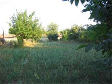 Land/Ruins for sale in Novi Pazar (Kurdzhali)