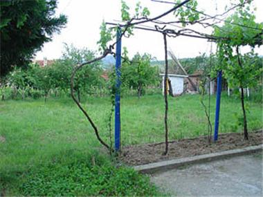 House/Villa for sale in Pazardzhik (Pazardzhik)