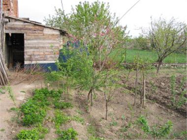 House/Villa for sale in Pazardzhik (Pazardzhik)