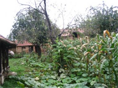 House/Villa for sale in Pleven (Pleven)