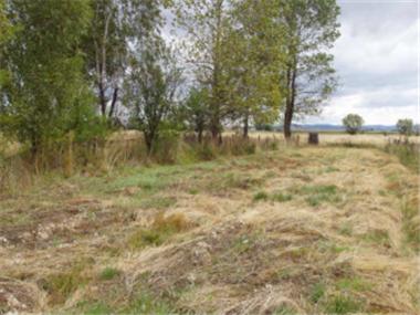 Land/Ruins for sale in Samokov (Sofiya)