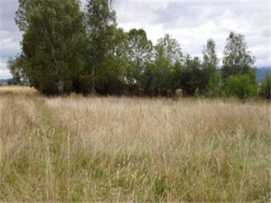 Land/Ruins for sale in Samokov (Sofiya)