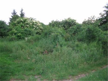 Land/Ruins for sale in Samokov (Sofiya)