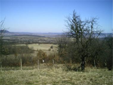 House/Villa for sale in Sevlievo (Gabrovo)