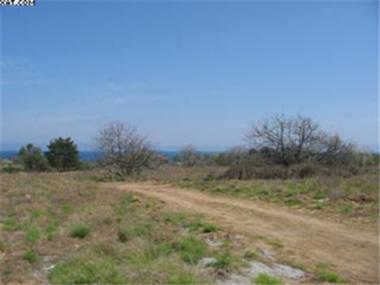 Land/Ruins for sale in Sozopol (Burgas)