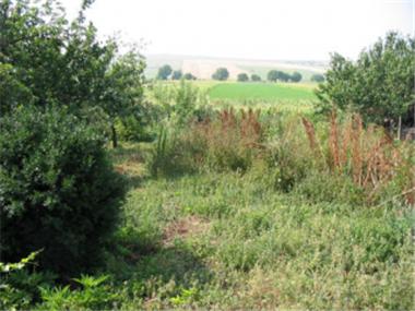 House/Villa for sale in Vidin (Vidin)