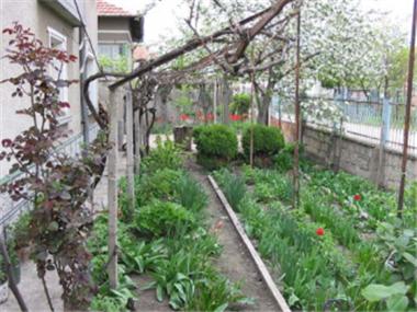 House/Villa for sale in Vidin (Vidin)