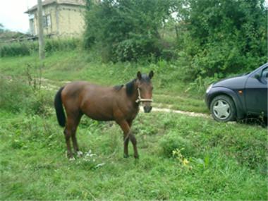 House/Villa for sale in Vratsa (Vratsa)