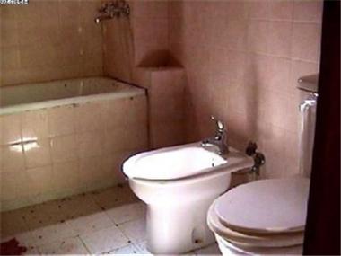 House/Villa for sale in Batak (Pazardzhik)