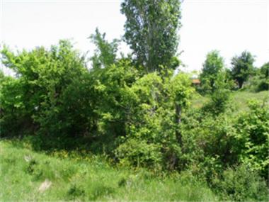 Land/Ruins for sale in Kharmanli (Khaskovo)