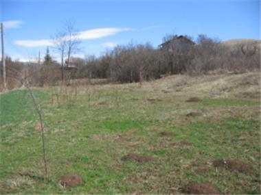 Land/Ruins for sale in Radomir (Pernik)