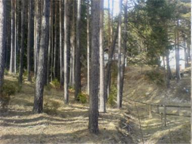 Land/Ruins for sale in Velingrad (Pazardzhik)