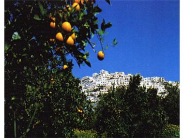 Apartment/Flat for sale in Mojacar (Andalucia)