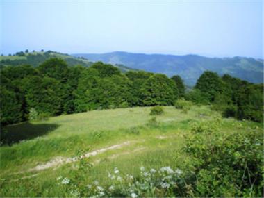 Land/Ruins for sale in Kyustendil (Kyustendil)