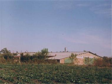 Business for sale in Rousse (Ruse)