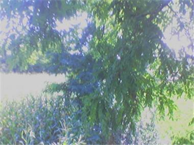 Land/Ruins for sale in Rousse (Ruse)