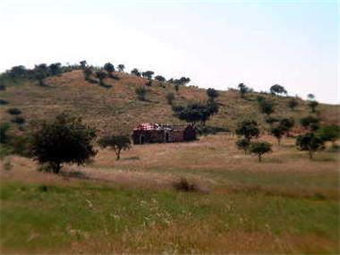 Land/Ruins for sale in Alandroal (Evora)