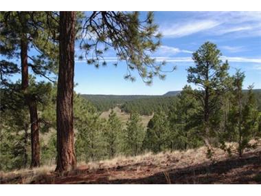 Land/Ruins for sale in Zuni (New Mexico)