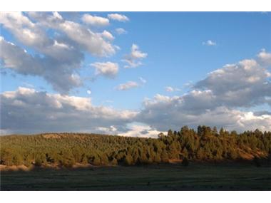 Land/Ruins for sale in Zuni (New Mexico)