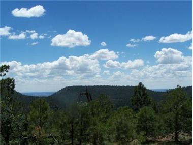 Land/Ruins for sale in Zuni (New Mexico)