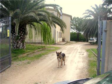 Townhouse for sale in Alghero (Sardinia)