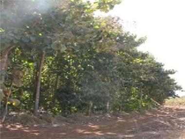 Land/Ruins for sale in Cuiaba (Minas Gerais)