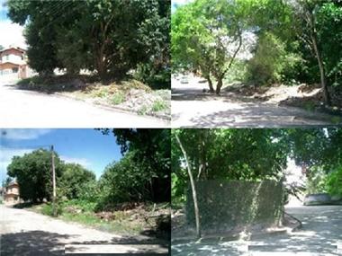 Land/Ruins for sale in Porto Seguro (Sao Paulo)