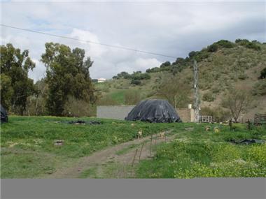 Land/Ruins for sale in Sevilla (Andalucia)