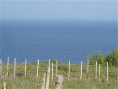 Land/Ruins for sale in Byala (Sliven)