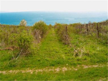 Land/Ruins for sale in Byala (Sliven)