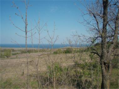Land/Ruins for sale in Byala (Sliven)