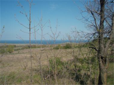 Land/Ruins for sale in Byala (Sliven)