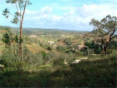 Plot for sale in Sao Bartolomeu de Messines (Faro)