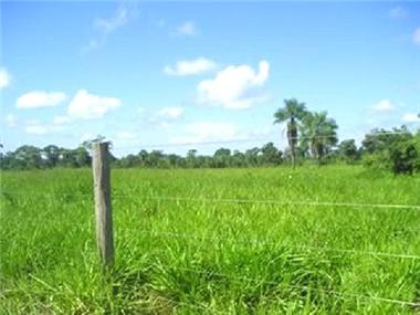 Land/Ruins for sale in Pocone (Sao Paulo)