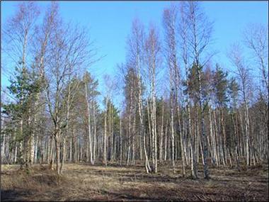 Land/Ruins for sale in Tallinn (Harjumaa)