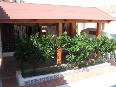 House/Villa for sale in La Mata (Valencia)
