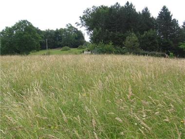 Land/Ruins for sale in Saint-Faust (Aquitaine)