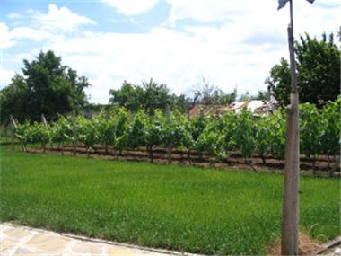 House for sale in Burgas (Burgas)
