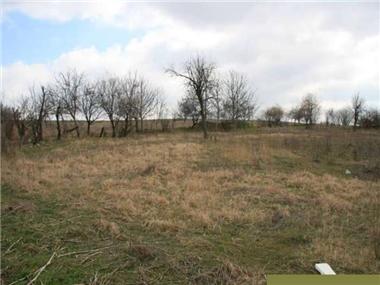 House for sale in Nikola-Kozlevo (Shumen)