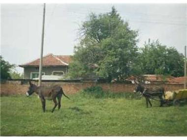 House/Villa for sale in Pleven (Pleven)