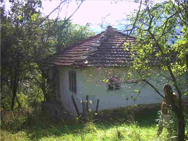 House for sale in Troyan (Lovech)