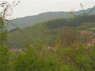Land for sale in Elena (Khaskovo)