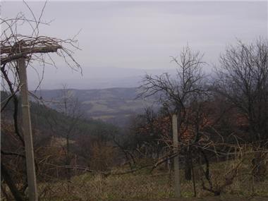 House/Villa for sale in Elena (Khaskovo)