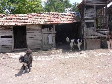 House for sale in Novi Pazar (Shumen)