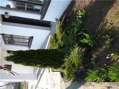 House for sale in Pavlikeni (Veliko Turnovo)
