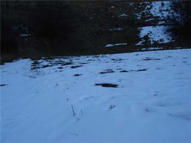 Land/Ruins for sale in Samokov (Sofiya)
