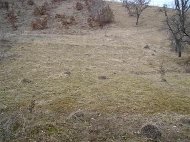 Land/Ruins for sale in Teteven (Lovech)
