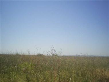 Land for sale in Burgas (Burgas)
