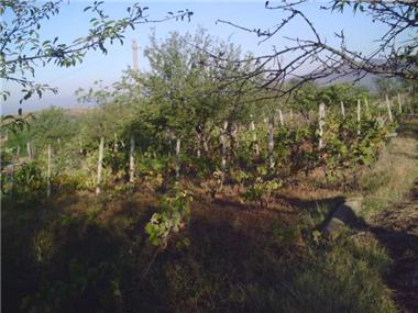 Land for sale in Burgas (Burgas)