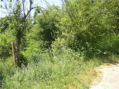 Land/Ruins for sale in Elena (Khaskovo)
